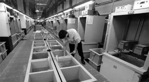 Wholesale jewelry and customization, professional jewelry OEM and ODM factory-VENUSACC